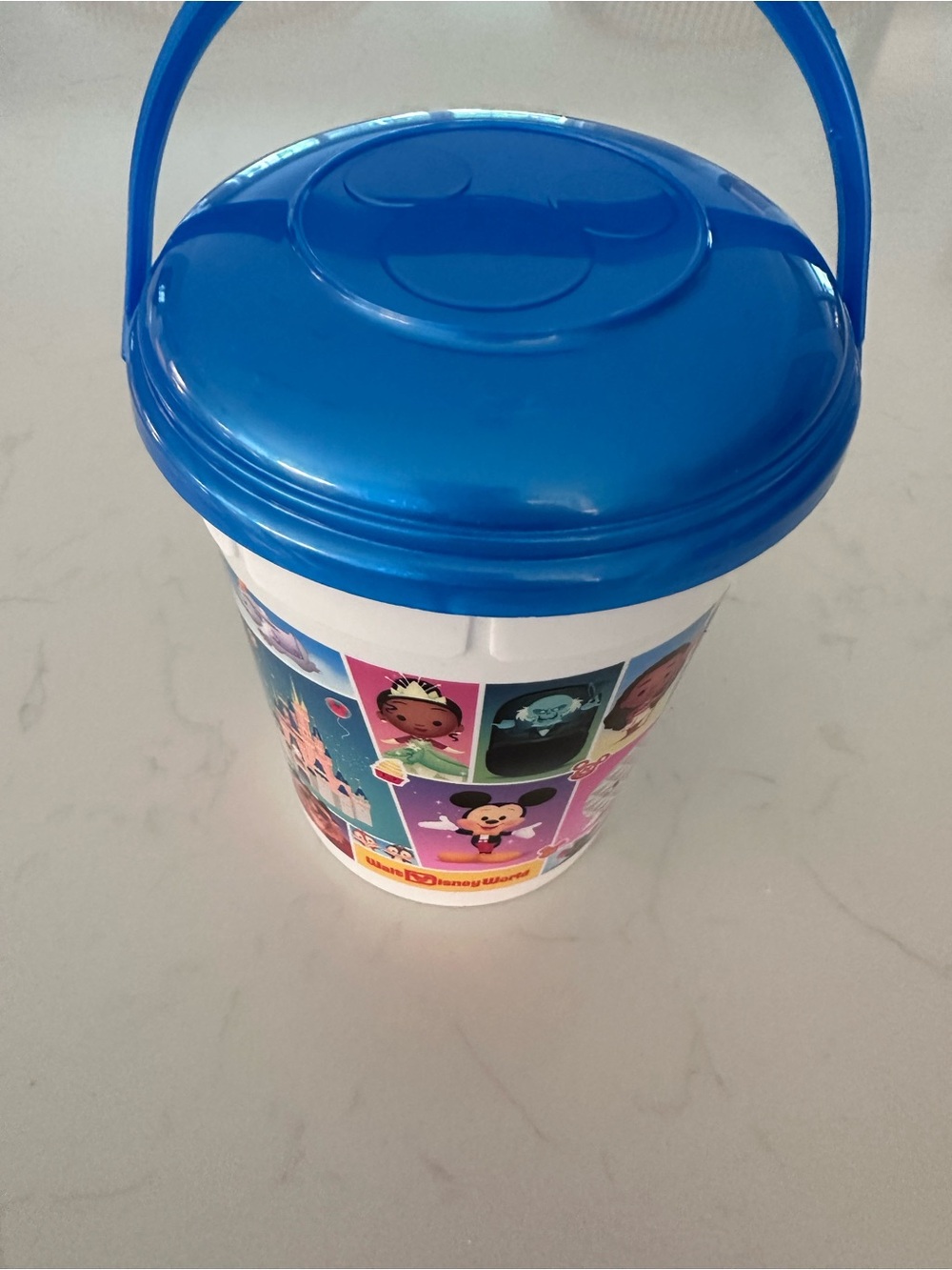 Disney World Popcorn Bucket